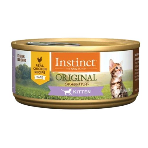 Original Kitten Chicken 1