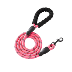 Training Leash