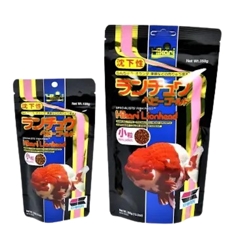 อาหารปลาทอง Lion head 2