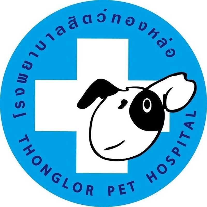 ตรวจสุขภาพแมว โรงพยาบาลสัตว์ทองหล่อ 1