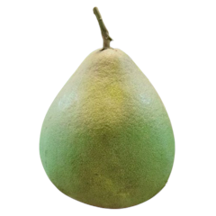 ส้มโอทับทิมสยาม