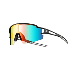 Polarized Lenses