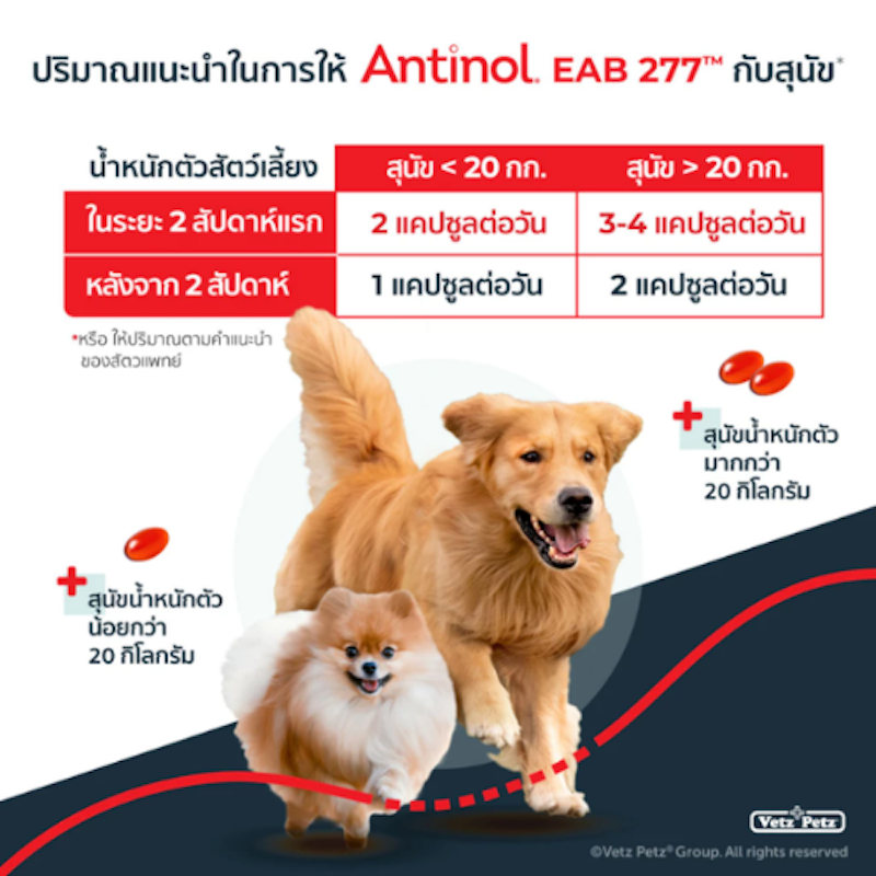 Antinol Dog อาหารเสริมไขมัน บำรุงข้อ สำหรับสุนัข 3