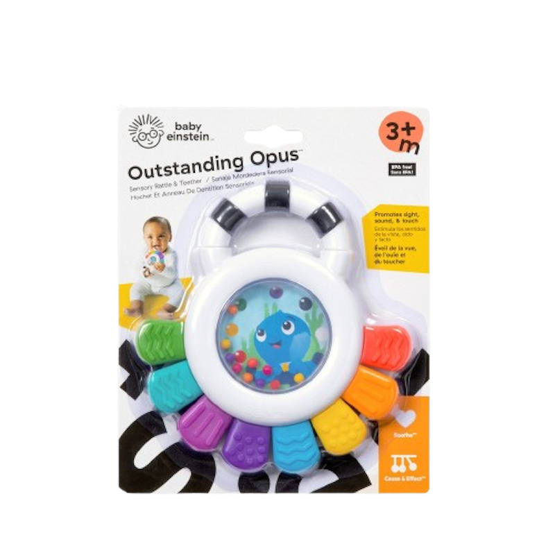 Sensory Teether 2