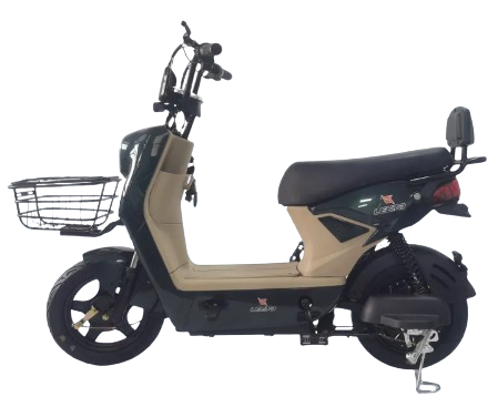 Power Electric Bike  1