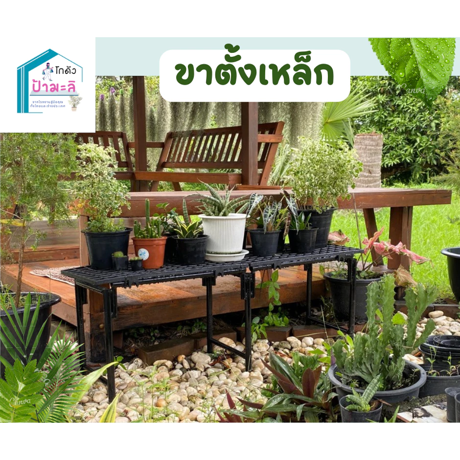 ชั้นวางต้นไม้ 2
