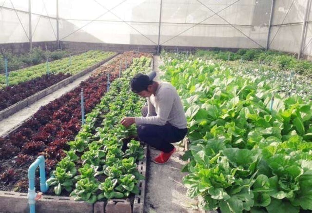 ที่พักสวนผึ้ง เดอะ นากายา รีสอร์ 9