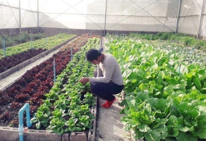 ที่พักสวนผึ้ง เดอะ นากายา รีสอร์ 9