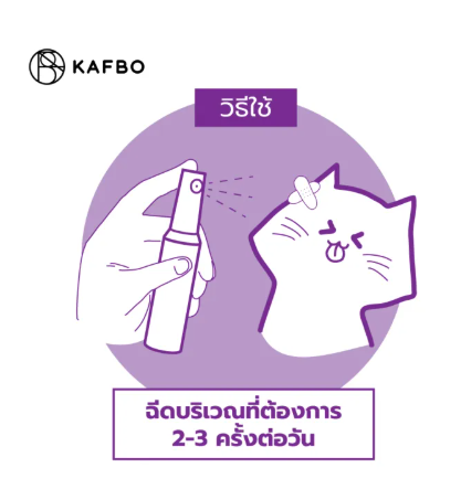 สเปรย์นาโน Essence Spray 3