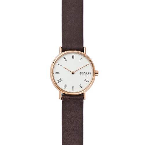 10 อันดับ นาฬิกา Skagen ปี 2026 ดีไซน์สวย ดูเรียบหรู 1