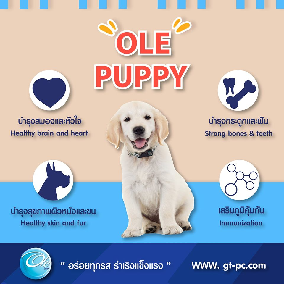 อาหารเม็ดสำหรับลูกสุนัขอายุ 2 เดือน+ Puppy and Small Breed 3