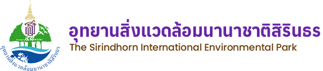 พายเรือคายัค ที่ไหนดี ปี 2026 รวมที่บรรยากาศดี ใกล้กรุงเทพ 2