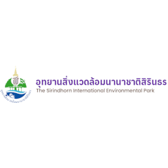 พายเรือคายัค หัวหิน ชะอำ