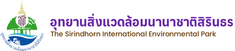 พายเรือคายัค หัวหิน ชะอำ 1