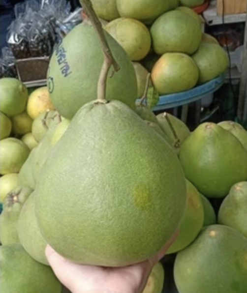 ส้มโอทับทิมสยาม 2