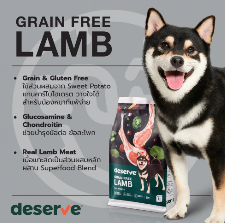 อาหารเม็ดสำหรับสุนัข Holistic Grain Free Lamb 2