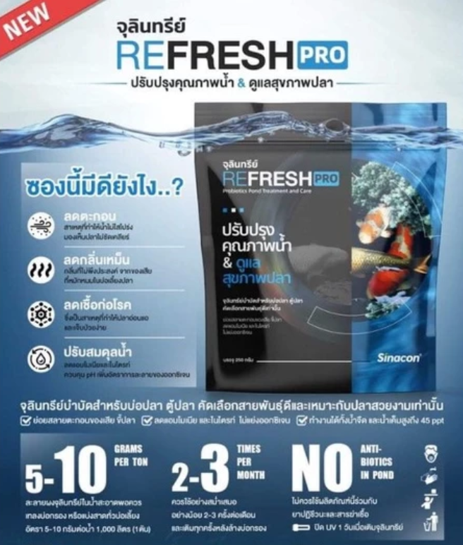 Refresh Pro 2