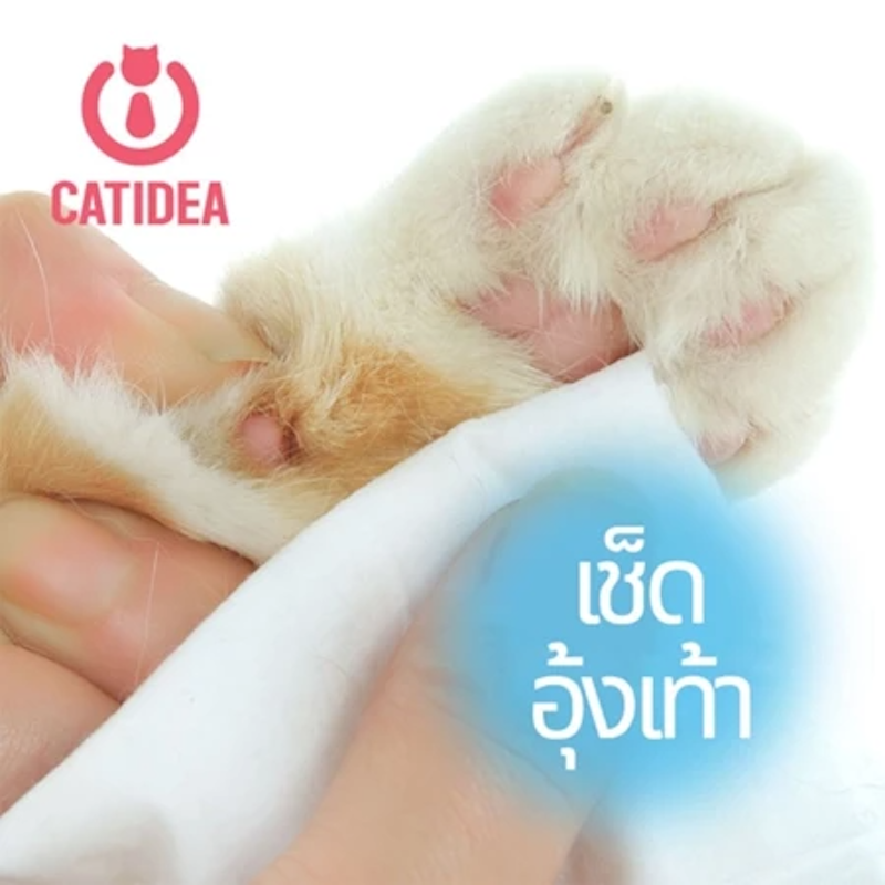 ทิชชู่เปียกแมวและสุนัข 3