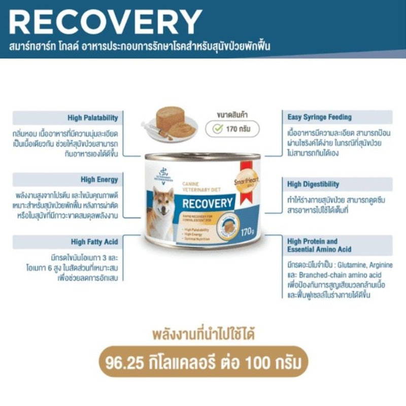 Recovery อาหารสุนัขป่วย 3