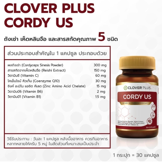 Cordy US 3