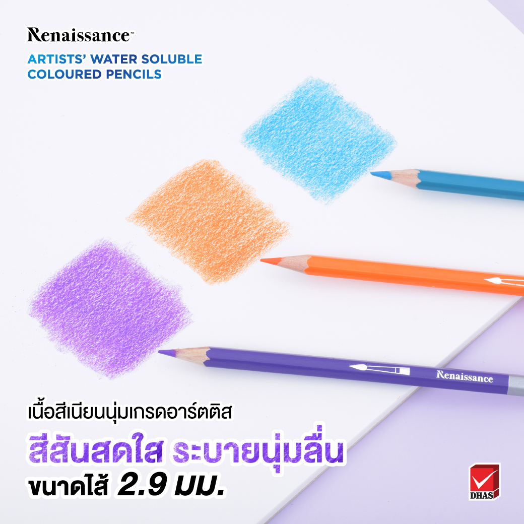 สีไม้ระบายน้ำ 24 สี 2