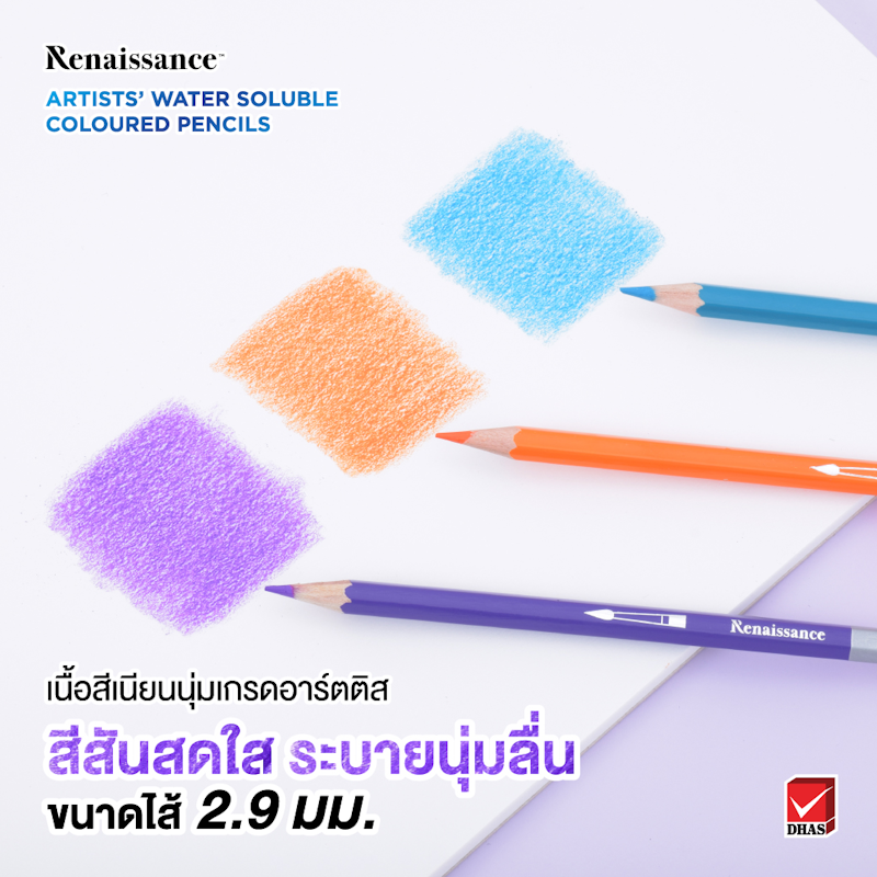 สีไม้ระบายน้ำ 24 สี 2