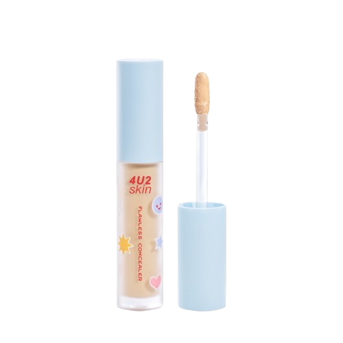 Skin Flawless Concealer 1