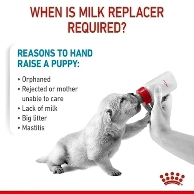 นมผงสุนัข Baby Dog Milk 3