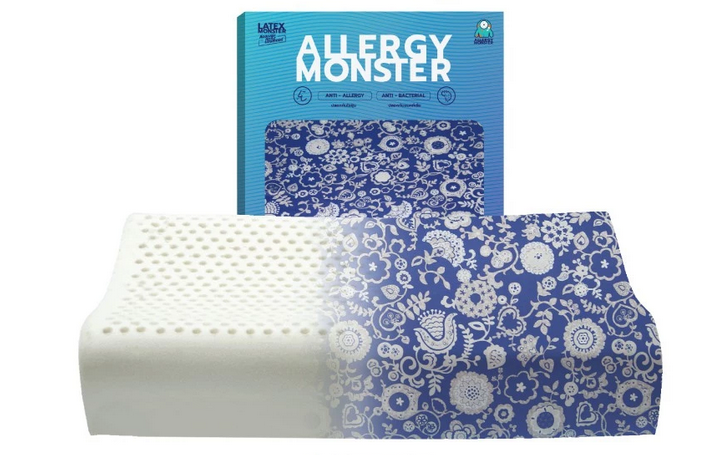 Anti Allergy Pillow Case 2