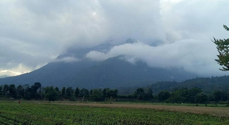 ที่พักเชียงดาว บ้านทุ่งทะเลหมอกเชียงดาว 4