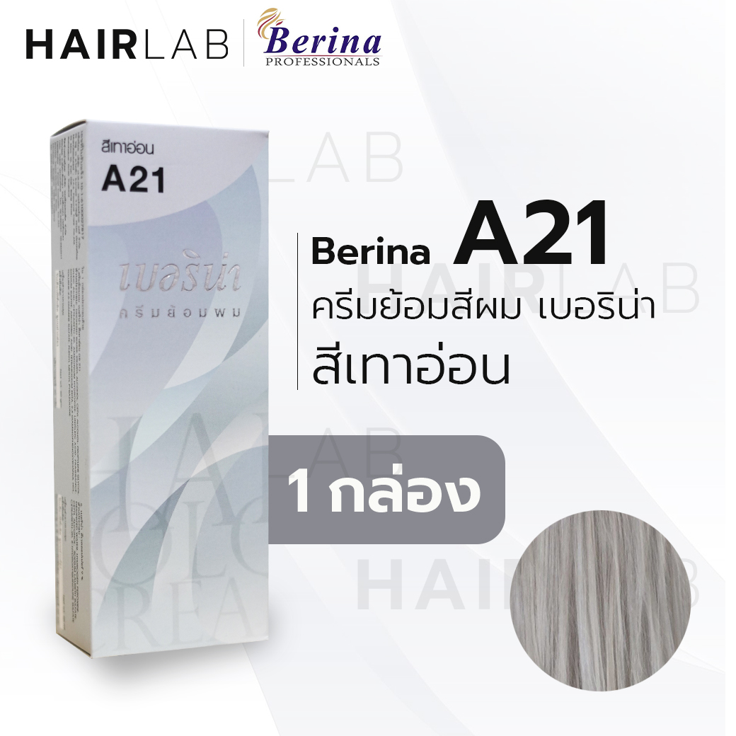 A21 ครีมย้อมผม สีเทาอ่อน 2