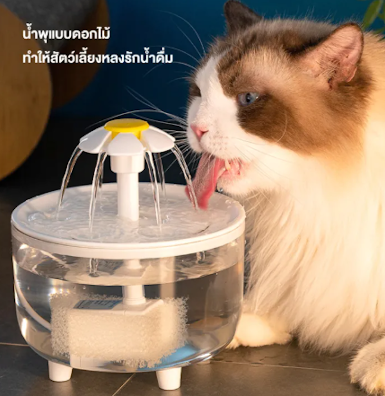 น้ำพุแมวอัตโนมัติ 3