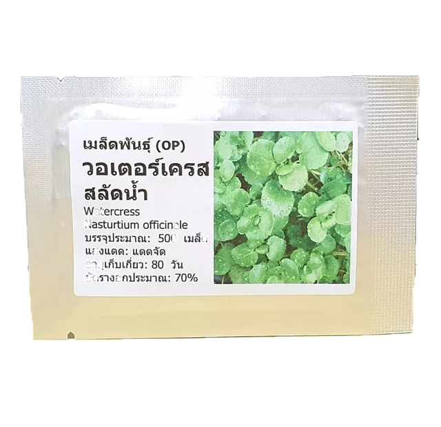 เมล็ดพันธุ์ วอเตอร์เครส สลัดน้ำ (Watercress Seed) 1