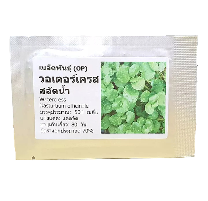 เมล็ดพันธุ์ วอเตอร์เครส สลัดน้ำ (Watercress Seed) 1