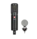 sE Electronics ไมค์อัดเสียง Condenser Microphone 1