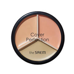 Cover Perfection Tip Concealer