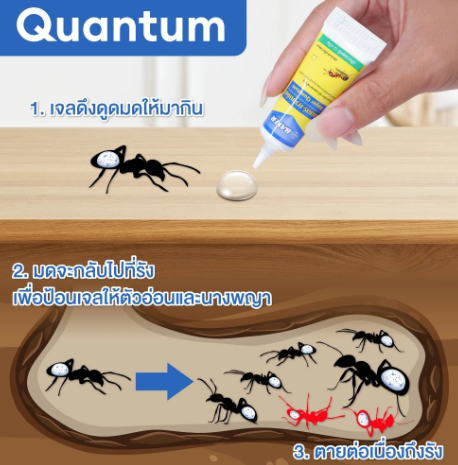 เจลกำจัดมด 2