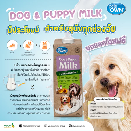 นมพร้อมดื่มแลคโตสฟรี 3