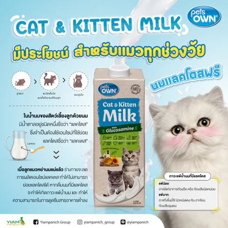 นมพร้อมดื่มแลคโตสฟรี 3