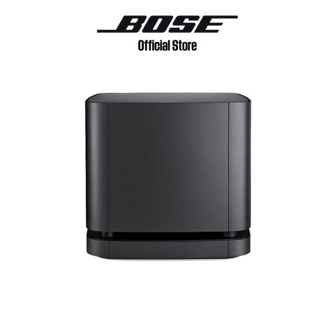  Subwoofer รุ่น Bass Module 500 2