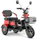 ZSUN ZSUN 1000 W 1