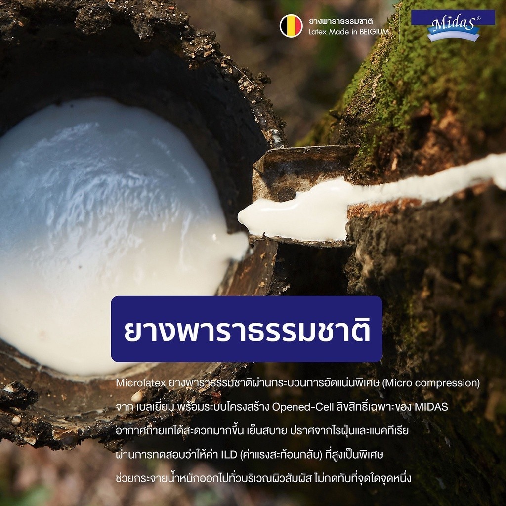 ที่นอนยางพาราแท้ รุ่น Rejuvenite 5 ฟุต 3