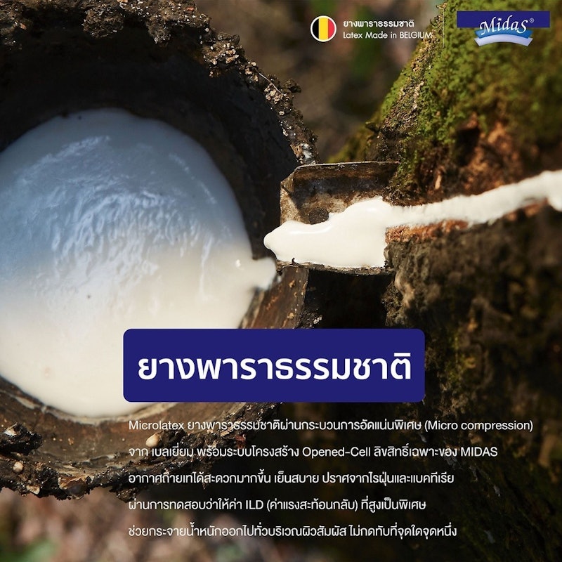 ที่นอนยางพาราแท้ รุ่น Rejuvenite 5 ฟุต 3