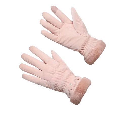 Glove Snow 1