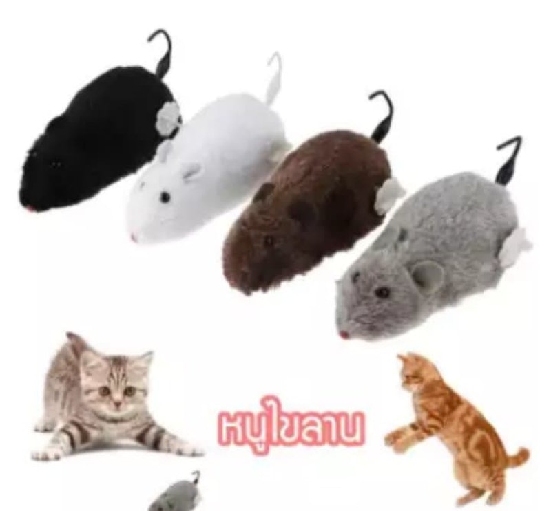3. No Brand หนูไขลาน รุ่น หนูไขลาน 1