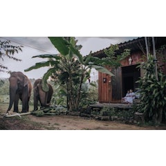 ที่พักดอยอินทนนท์ Nongtao Homestay
