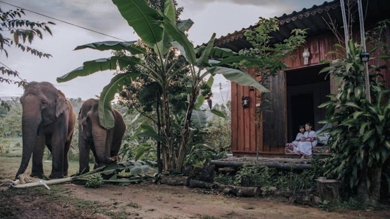 ที่พักดอยอินทนนท์ Nongtao Homestay 1