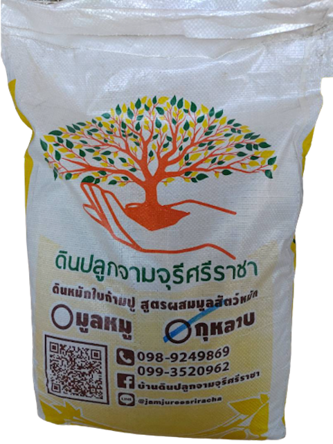 10 อันดับ ดินปลูกกุหลาบ ยี่ห้อไหนดี ปี 2026 พร้อมสูตรทำเอง 5