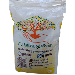 ดินปลูกกุหลาบ ดินพร้อมปลูก