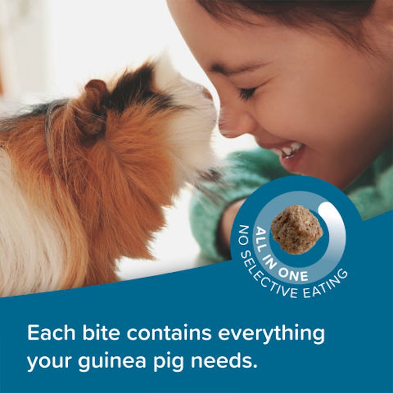อาหารหนูแกสบี้ CARE+ Guinea Pig 3